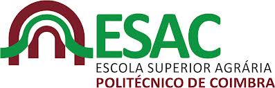 Collection Logo